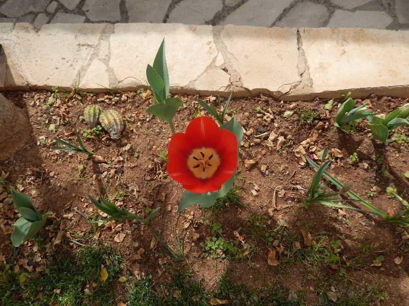 Niki'S House Apartman Limassol Kültér fotó